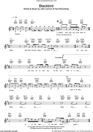 Blackbird