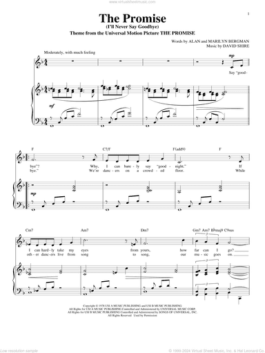 The Promise (I'll Never Say Goodbye)