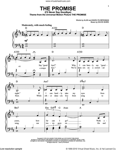 The Promise (I'll Never Say Goodbye)