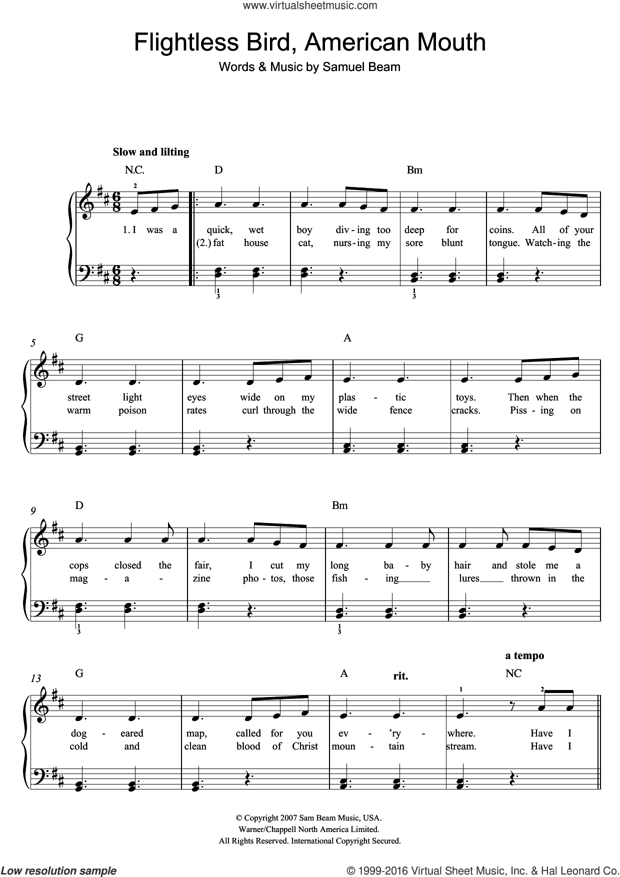 Flightless Bird, American Mouth