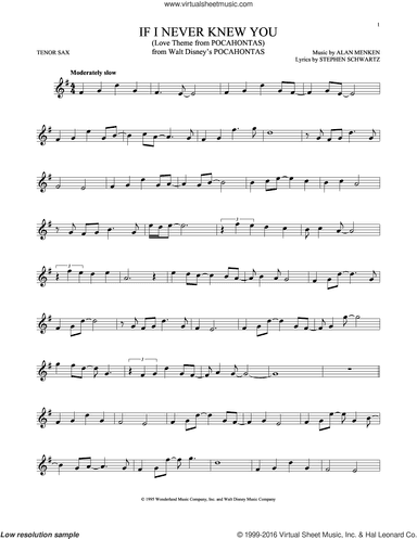 If I Never Knew You (End Title) (from Pocahontas)