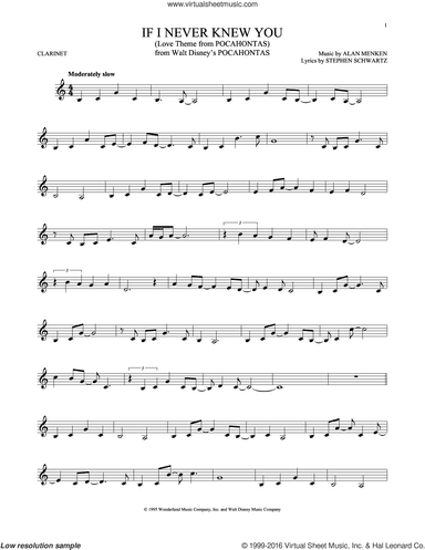If I Never Knew You (End Title) (from Pocahontas)