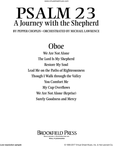 Psalm 23, a journey with the shepherd