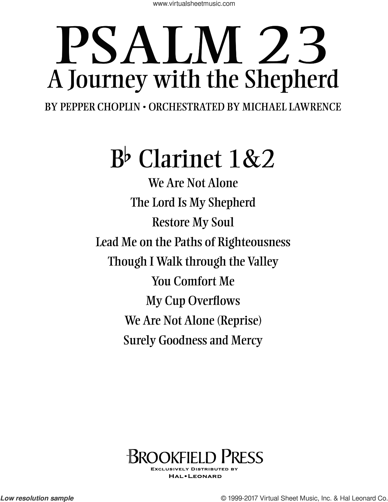 Psalm 23, a journey with the shepherd