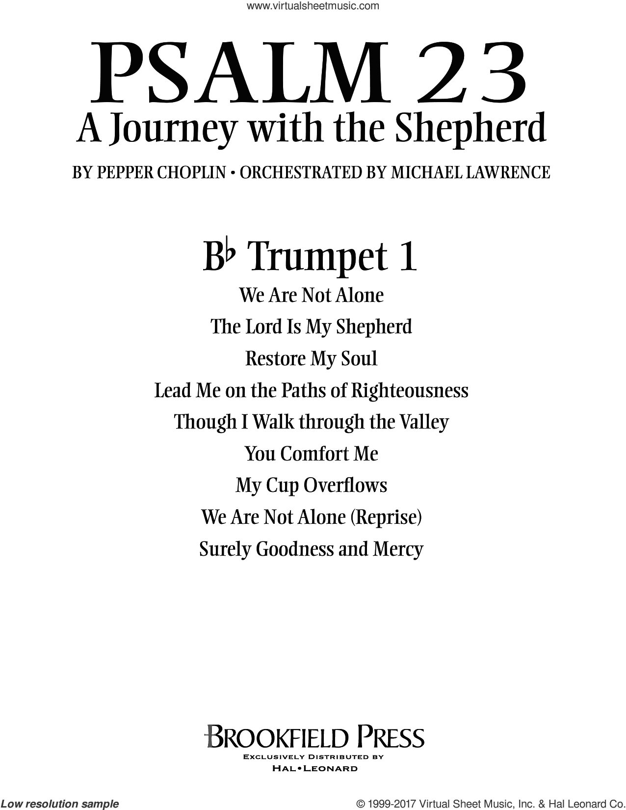 Psalm 23, a journey with the shepherd
