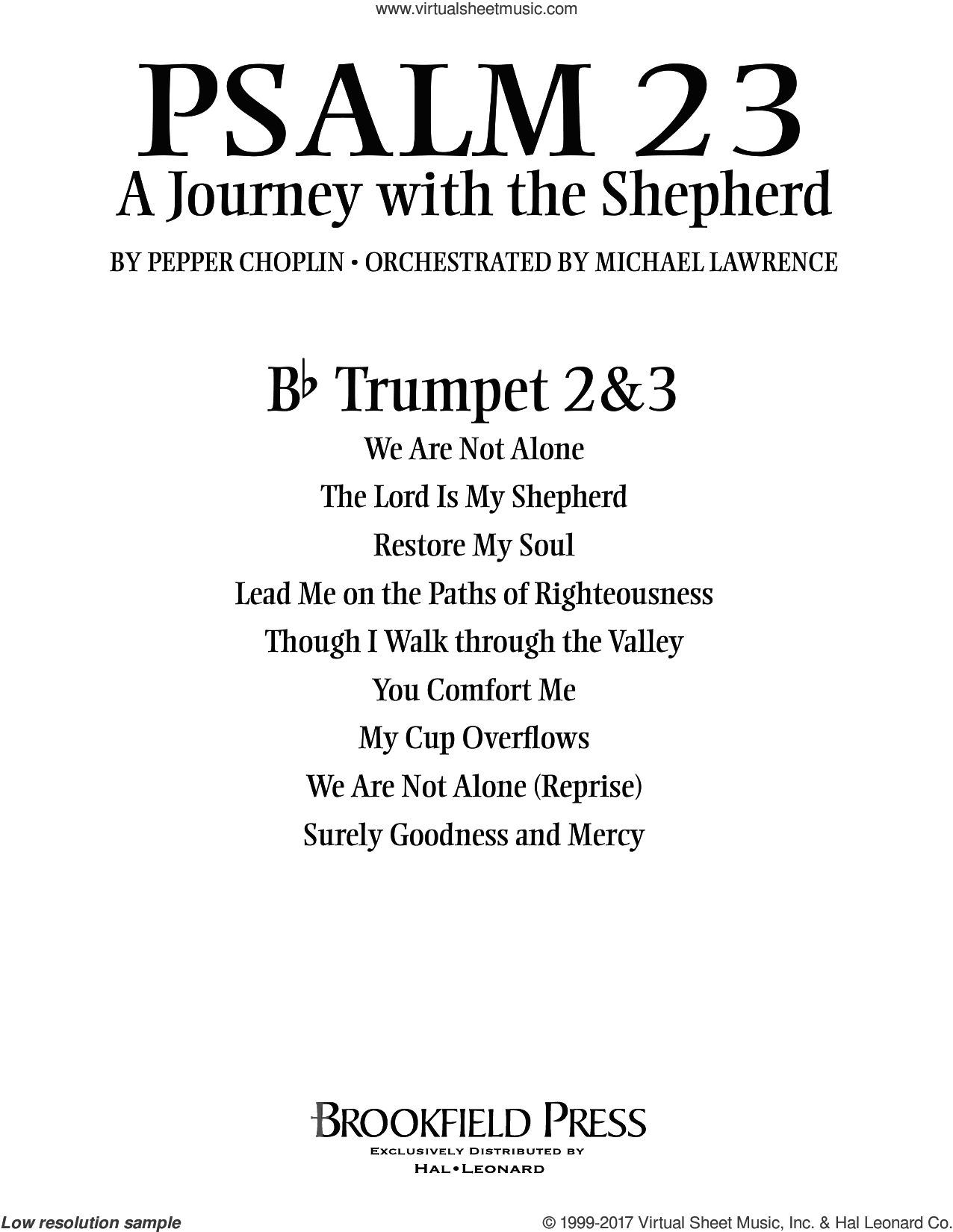 Psalm 23, a journey with the shepherd