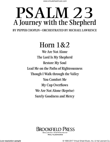 Psalm 23, a journey with the shepherd