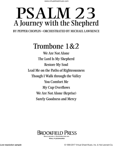 Psalm 23, a journey with the shepherd