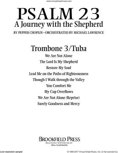 Psalm 23, a journey with the shepherd