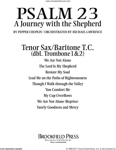 Psalm 23, a journey with the shepherd