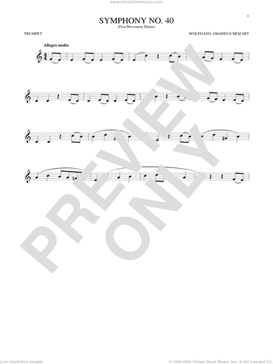 Symphony No. 40 In G Minor, First Movement Excerpt