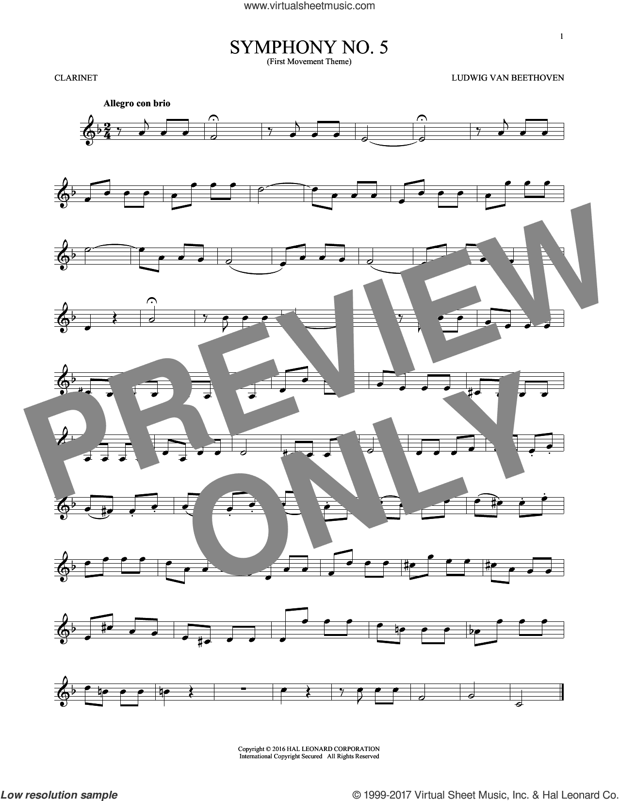 Symphony No. 5 In C Minor, First Movement Excerpt