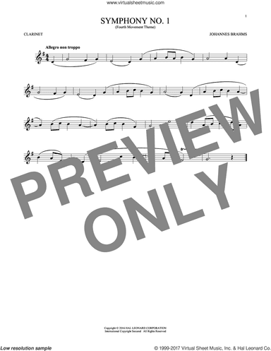 Symphony No. 1 In C Minor, Fourth Movement Excerpt