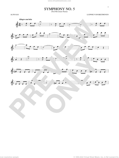 Symphony No. 5 In C Minor, First Movement Excerpt