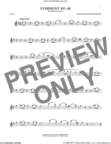 Symphony No. 40 In G Minor, First Movement Excerpt