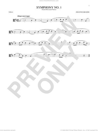 Symphony No. 1 In C Minor, Fourth Movement Excerpt