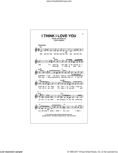 I Think I Love You