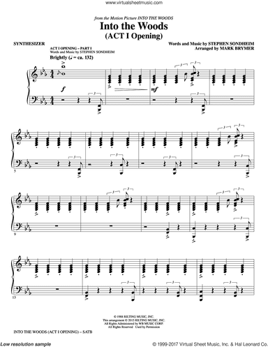 Into the Woods (complete set of parts)