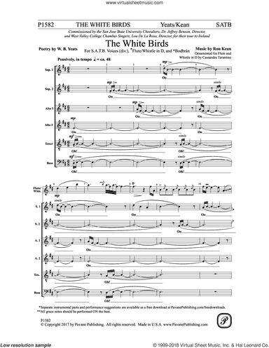 The White Birds