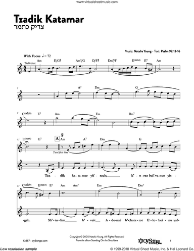 Tzadik Katamar