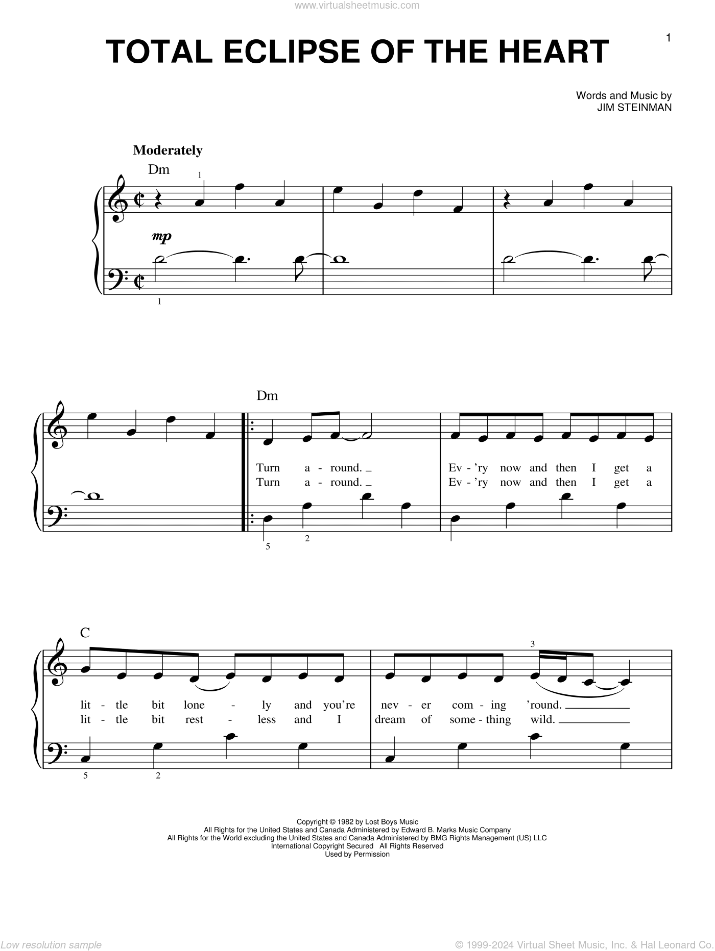 Total Eclipse Of The Heart, (beginner)