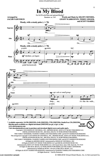 In My Blood (arr. Jacob Narverud)