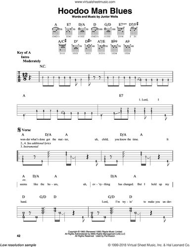 Hoodoo Man Blues