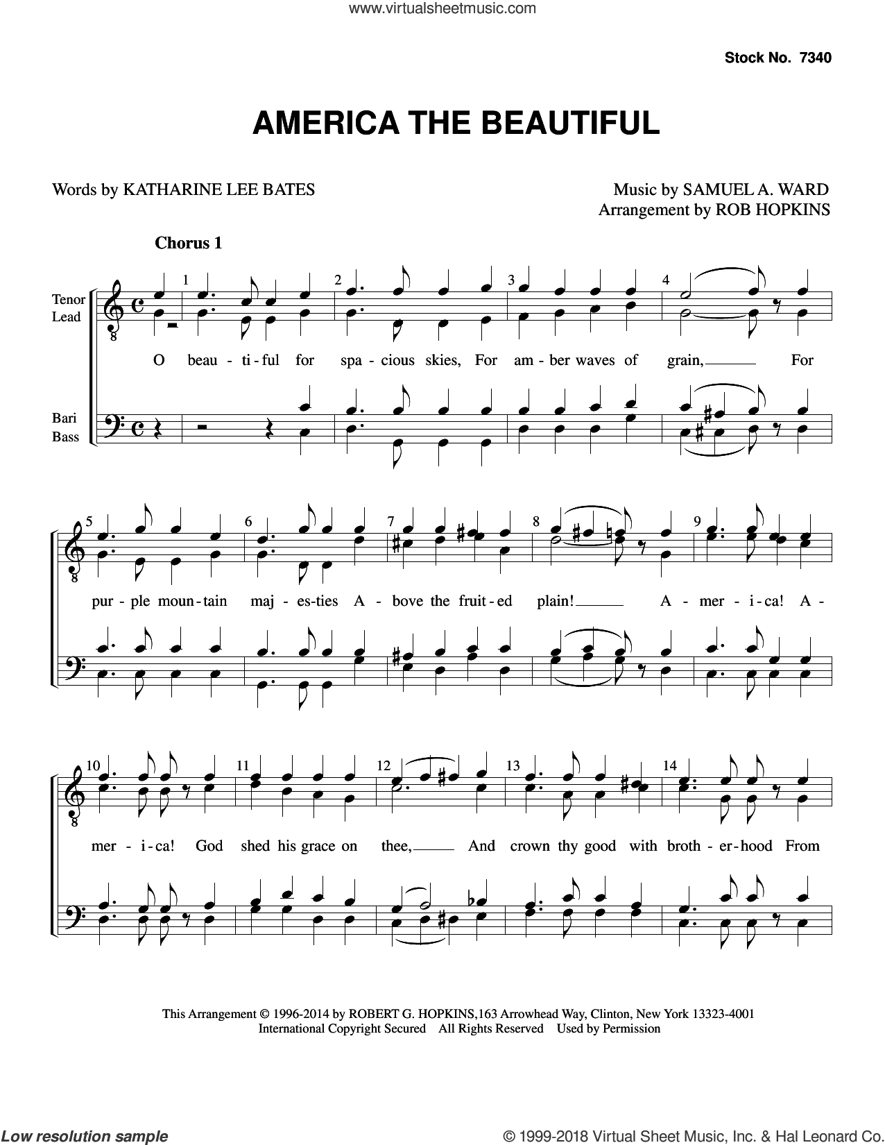 America, the Beautiful (arr. Rob Hopkins)