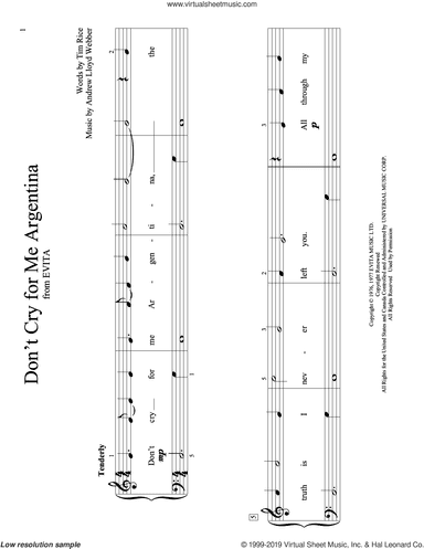 Don't Cry For Me Argentina (from Evita) (arr. Christopher Hussey)