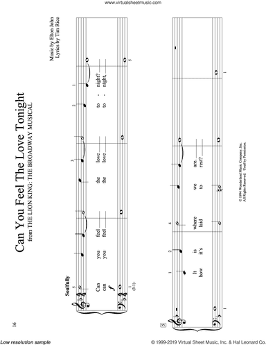 Can You Feel the Love Tonight (from The Lion King) (arr. Christopher Hussey)