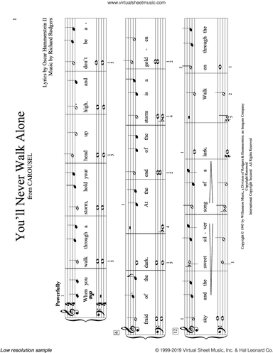 You'll Never Walk Alone (from Carousel) (arr. Christopher Hussey)