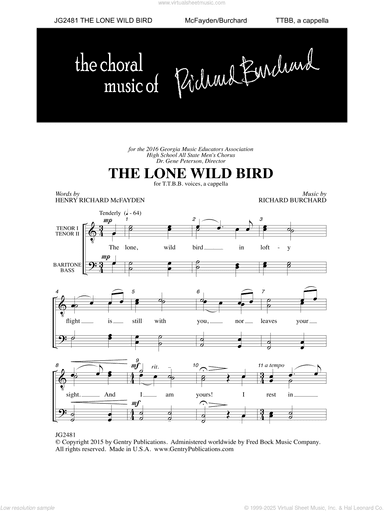 The Lone Wild Bird