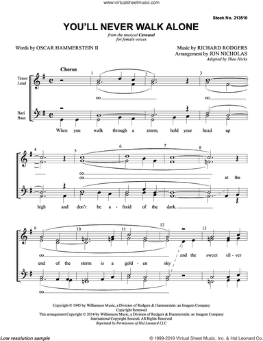 You'll Never Walk Alone (from Carousel) (arr. Jon Nicholas)