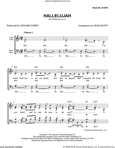Hallelujah (arr. Adam Scott)