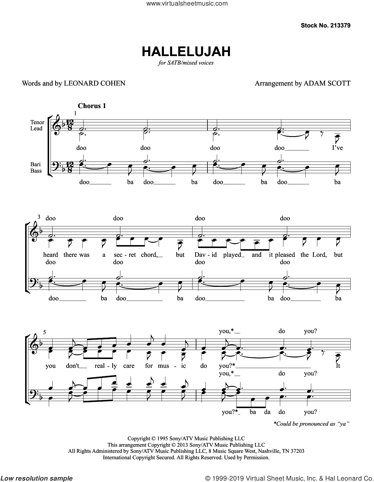 Hallelujah (arr. Adam Scott)
