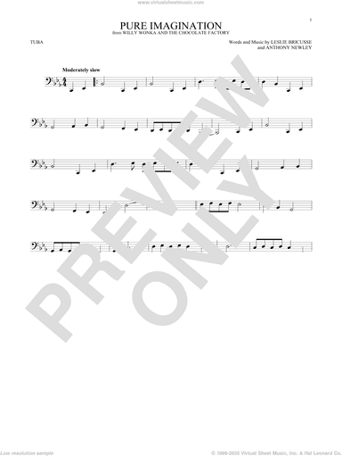 Pure Imagination (from Willy Wonka and The Chocolate Factory)