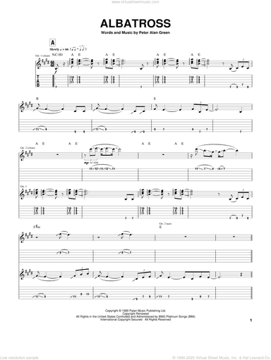 Albatross