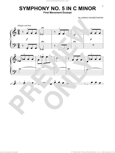 Symphony No. 5 In C Minor, First Movement Excerpt