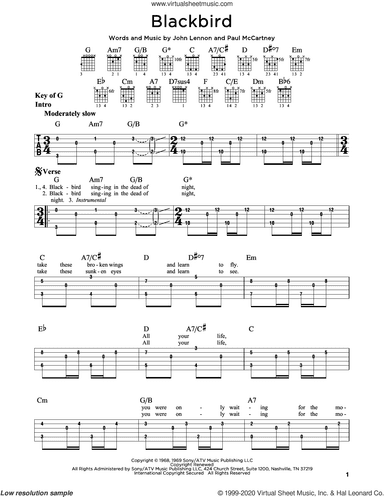 Blackbird