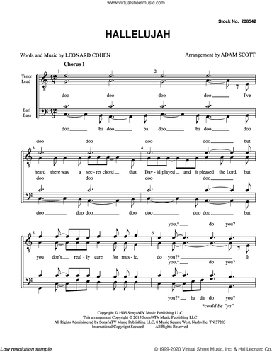 Hallelujah (arr. Adam Scott)