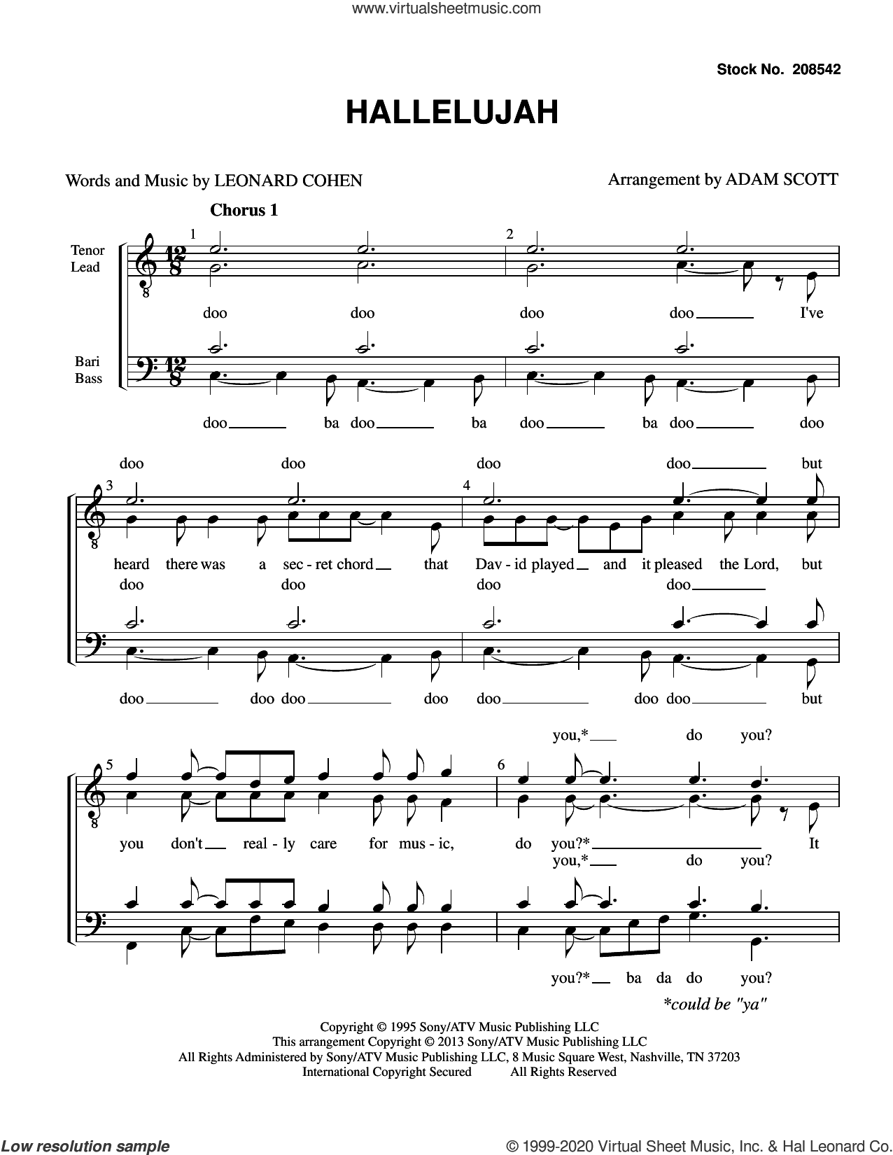 Hallelujah (arr. Adam Scott)