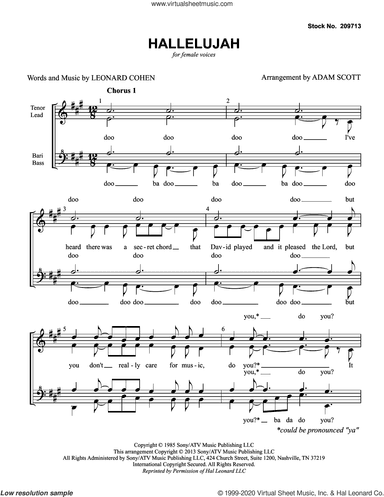 Hallelujah (arr. Adam Scott)