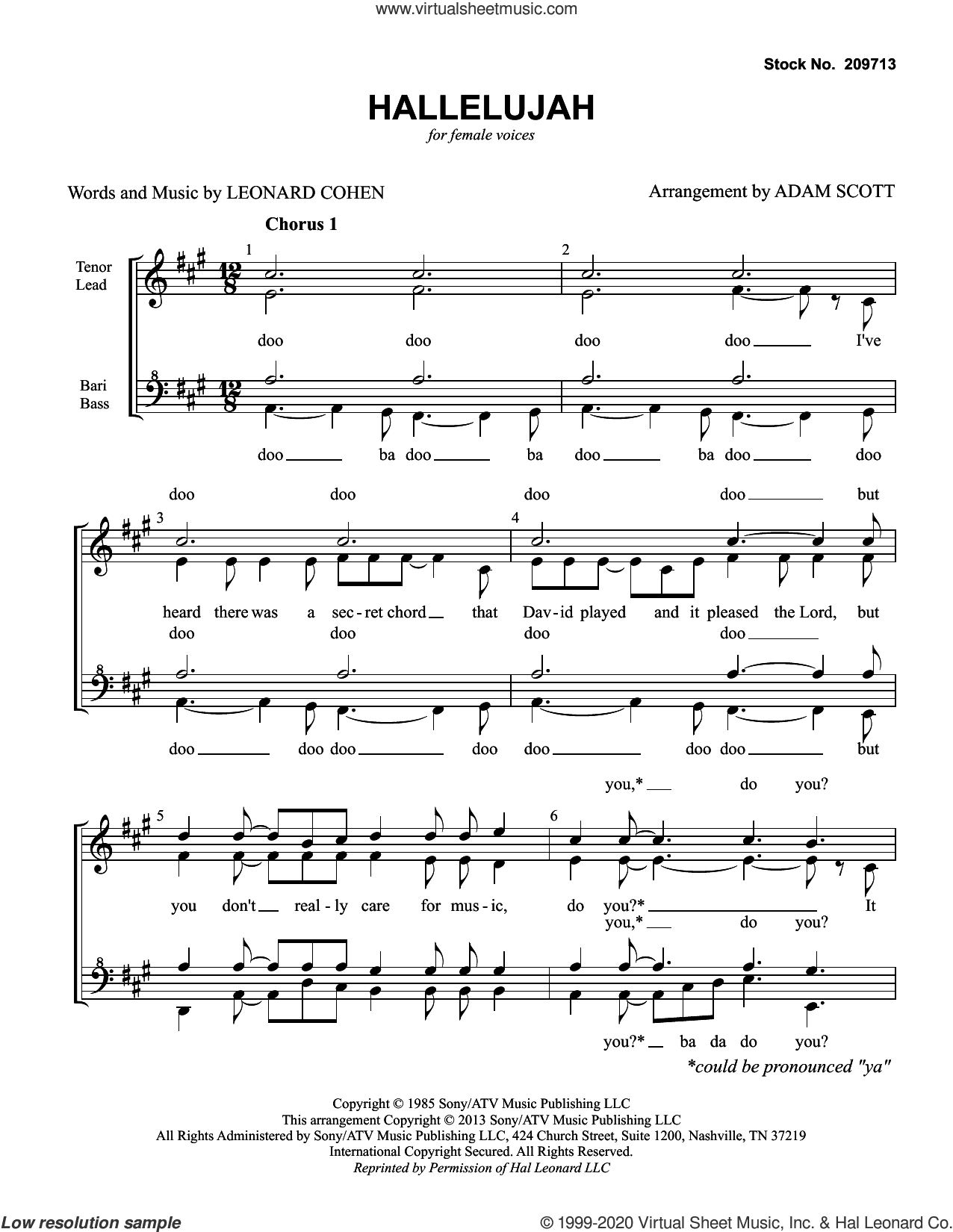 Hallelujah (arr. Adam Scott)