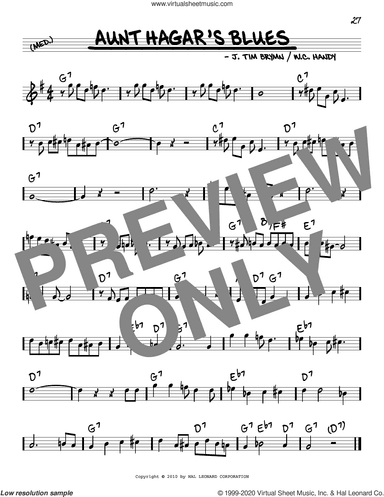 Aunt Hagar's Blues