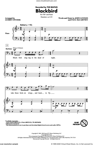 Blackbird (arr. Audrey Snyder)