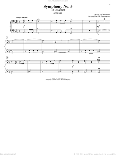 Symphony No. 5 (1st Movement) (arr. Eric Baumgartner)