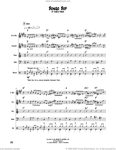 Bongo Bop