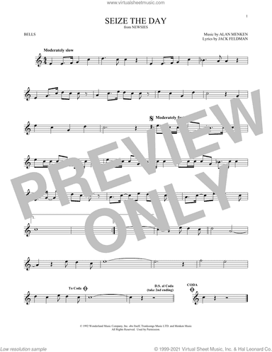 Seize The Day (from Newsies)