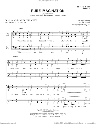 Pure Imagination (arr. Dave Briner)