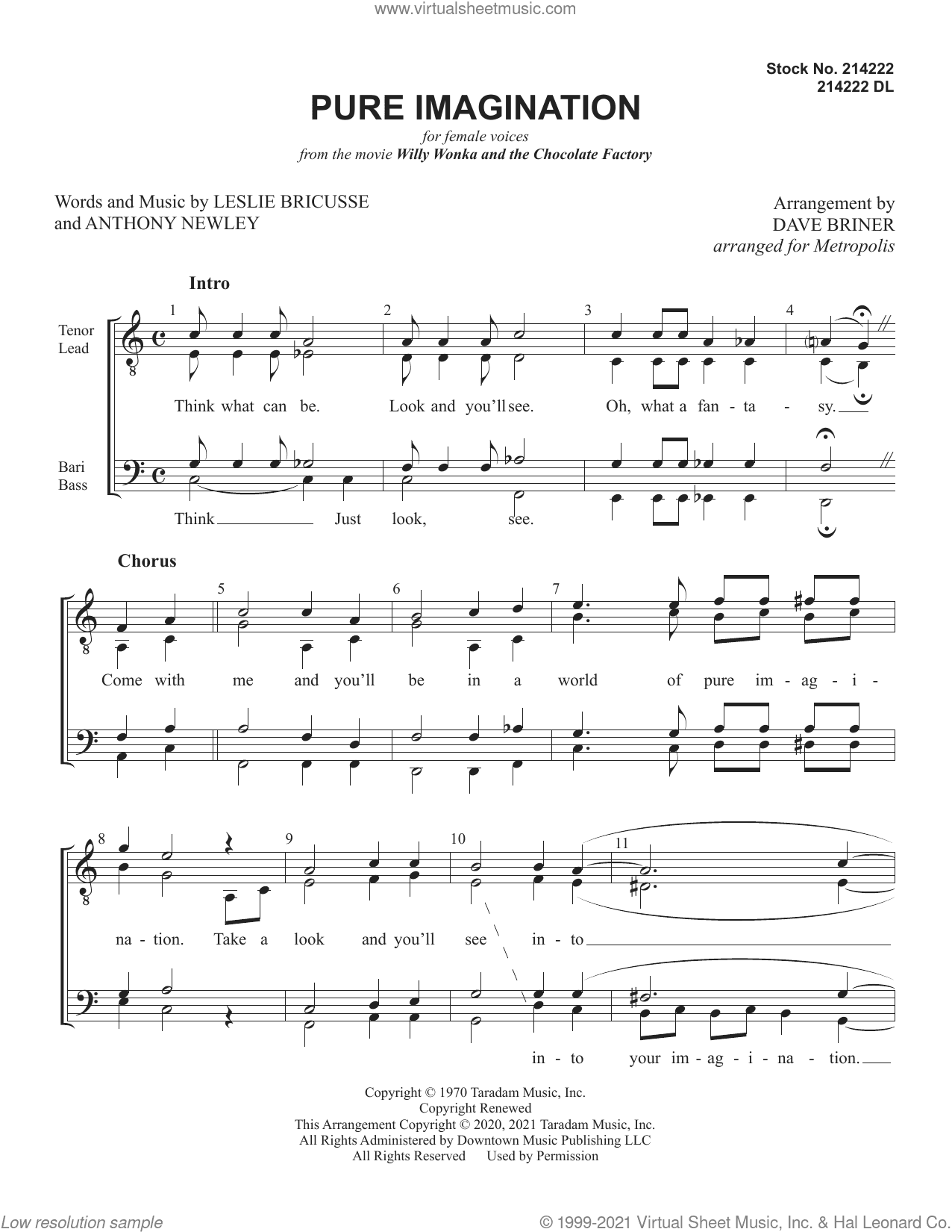 Pure Imagination (arr. Dave Briner)